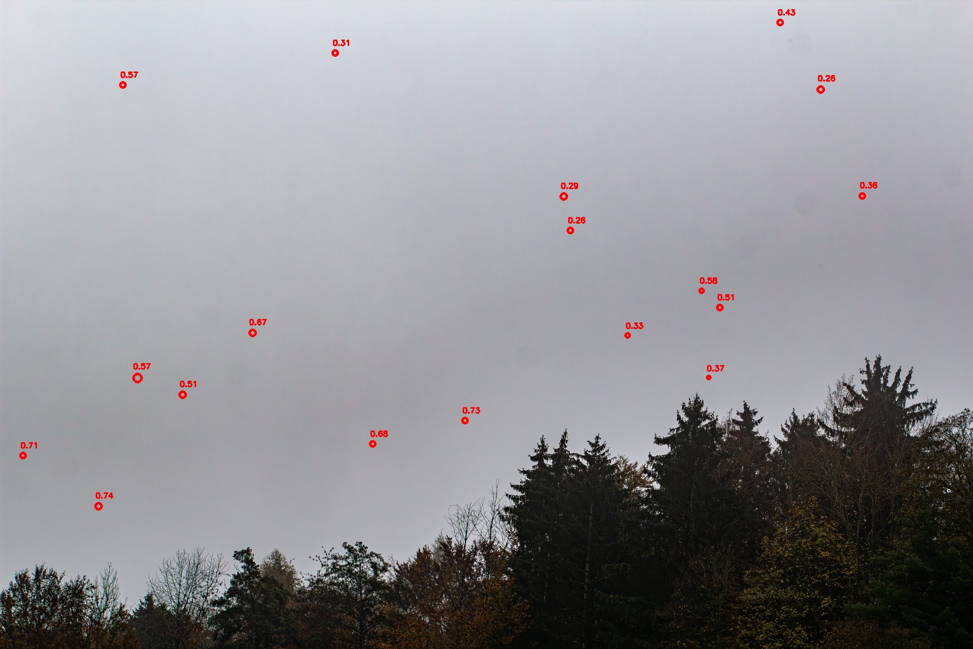 KI-analysiertes Bild mit Markierungen