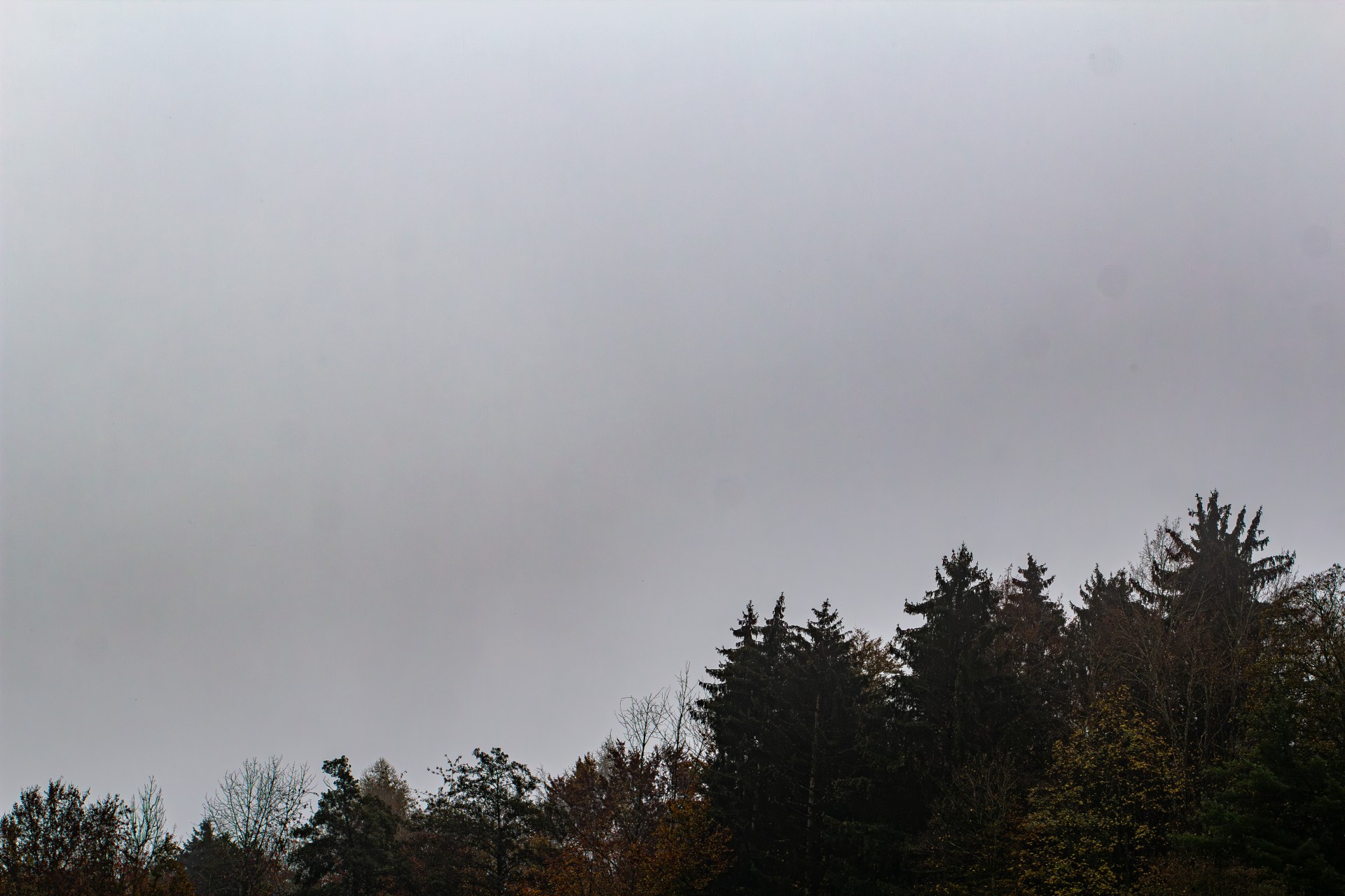 Originalbild ohne KI-Erkennung